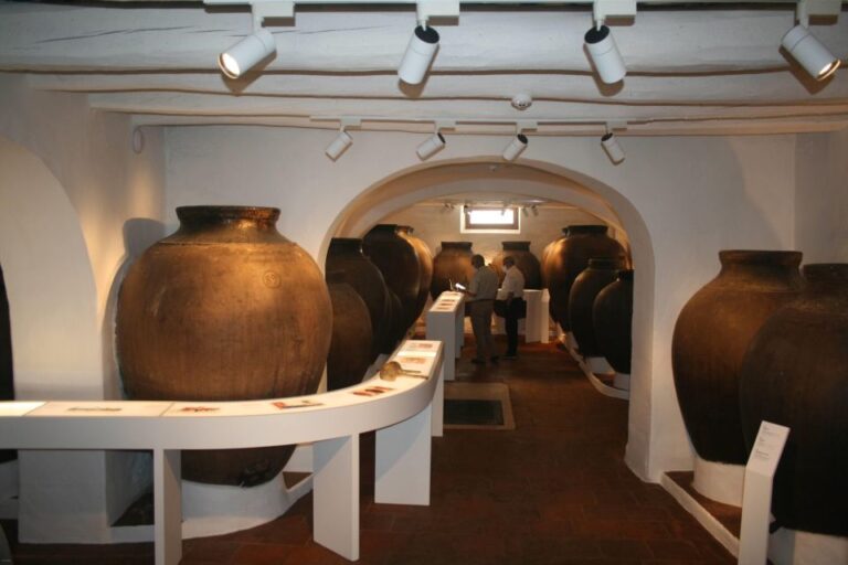 Borba: Winery Tour With Wine and Alentejo Products Tasting