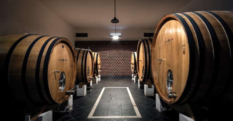 Borba: Winery Tours and Amphora Wine Tasting