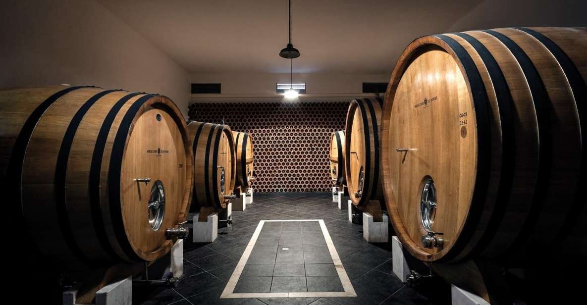 1 borba winery tours and amphora wine tasting Borba: Winery Tours and Amphora Wine Tasting