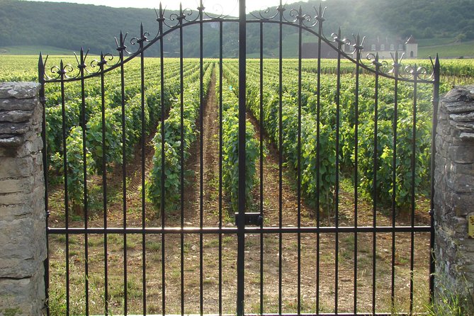 Bordeaux to Medoc & Saint Emilion Wine Tasting / Sightseeing Tour