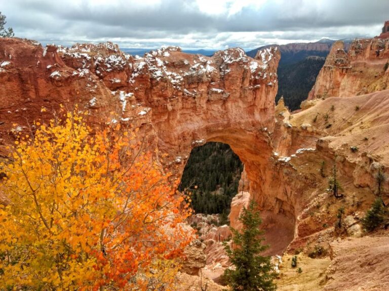 Bryce: Guided Sightseeing Tour of Bryce Canyon National Park