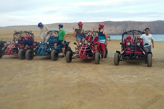 1 buggy ride in paracas national reserve Buggy Ride in Paracas National Reserve