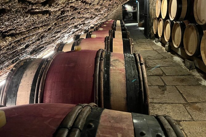 Burgundy Cote De Nuits Private Day Tour With Tastings From Beaune or Dijon