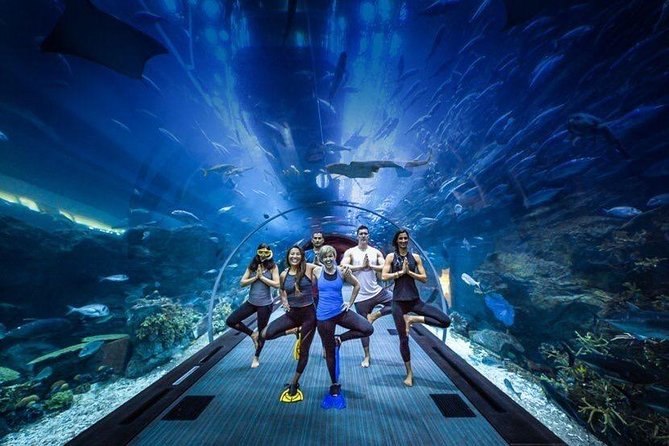 Burj Khalifa, Dubai Aquarium & Underwater Zoo Combo Tickets
