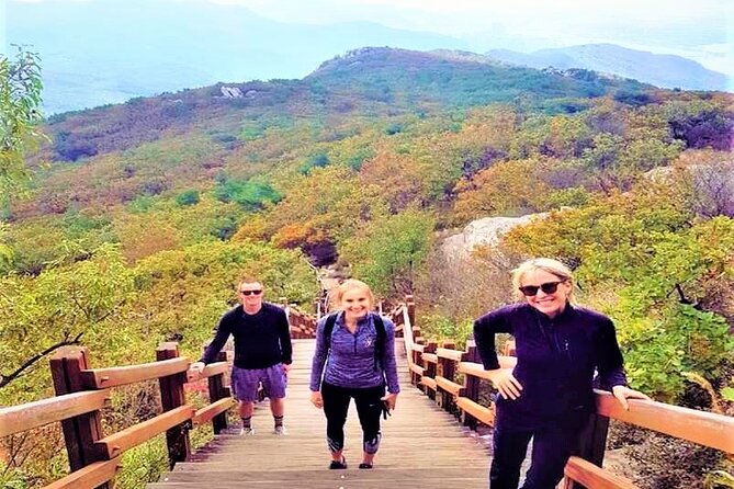 Busan Private Hiking Tour : Panoramic Views Awaits