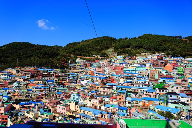 Busan Shore Excursion Tour With Gamcheon Culture Village