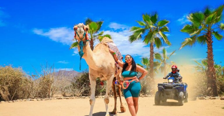 Cabo: ATV, Camel Ride, Mexican Lunch, and Tequila Combo Tour