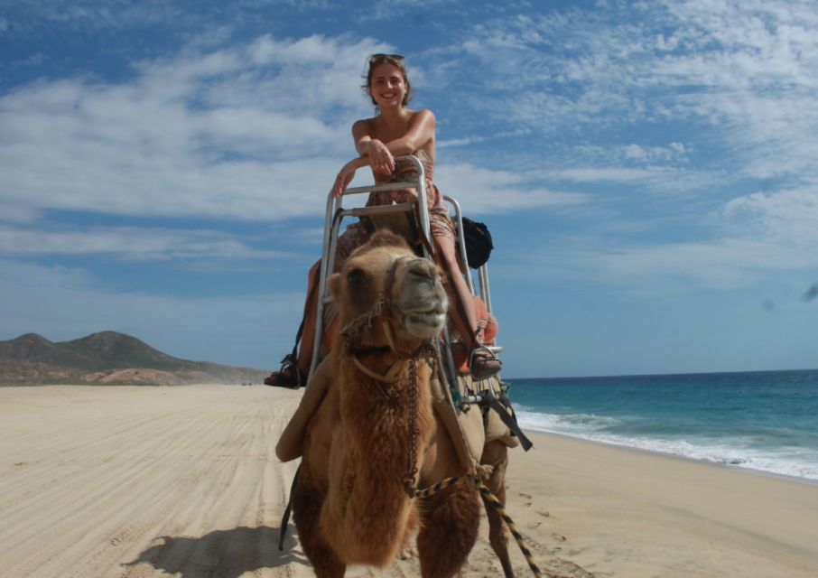 1 cabo san lucas amazing camel adventure on the beach Cabo San Lucas: Amazing Camel Adventure on the Beach