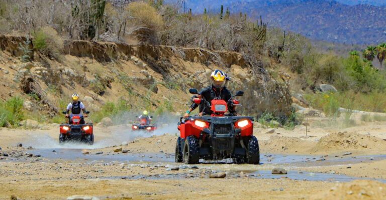 Cabo San Lucas: ATV Desert Tour With Mexican Lunch