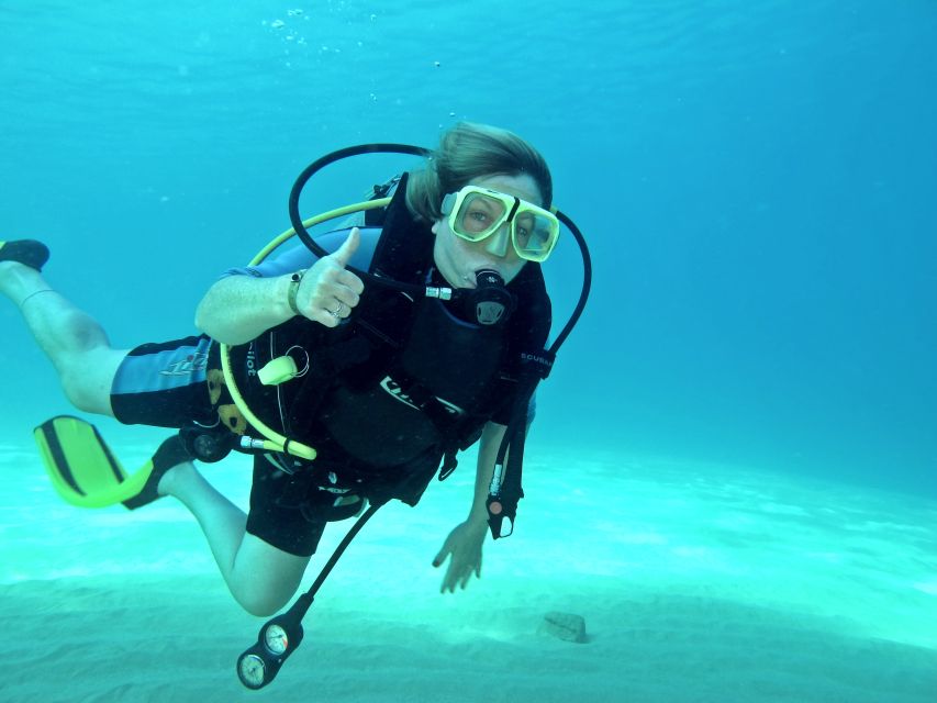 1 cabo san lucas beginners diving experience w water snack Cabo San Lucas: Beginners Diving Experience W/ Water & Snack