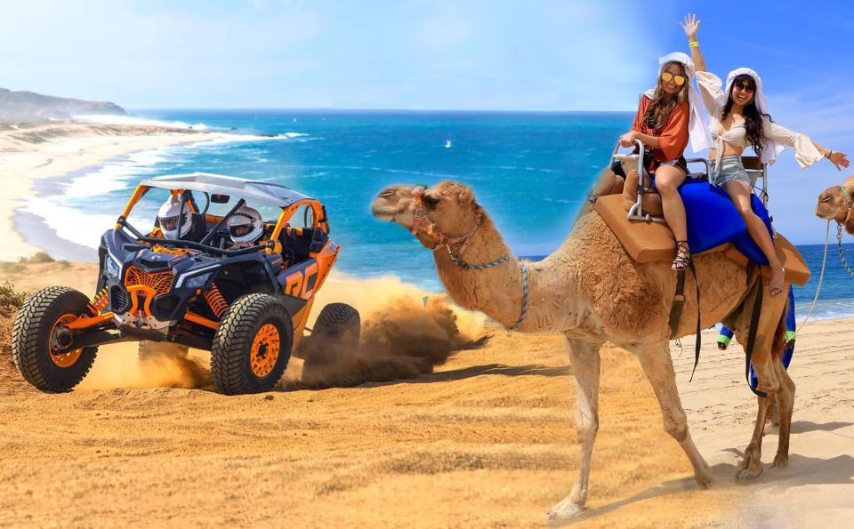 1 cabo san lucas camel ride off road utv combo adventure Cabo San Lucas: Camel Ride & Off-Road UTV Combo Adventure