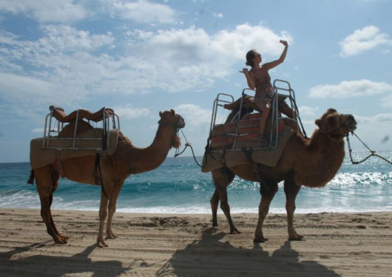 Cabo San Lucas: Combo Vehicle Plus Camel or Horse Tour