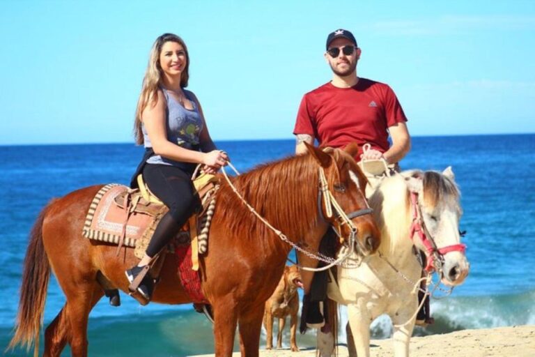 Cabo San Lucas: Desert ATV & Beach Horseback Combo