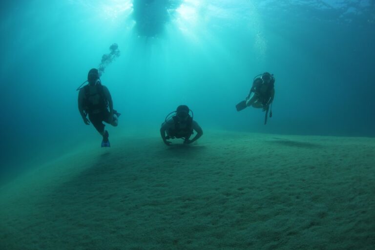 Cabo San Lucas Marine Park Scuba Diving