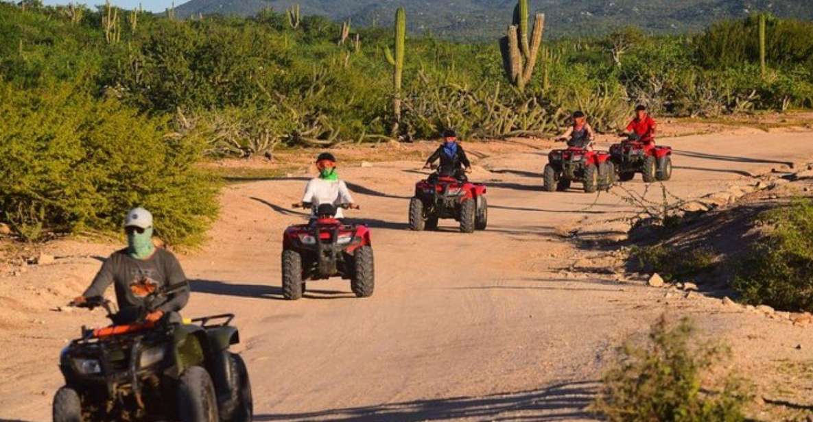 1 cabo san lucas migrino beach desert atv tour 2 Cabo San Lucas: Migrino Beach & Desert ATV Tour