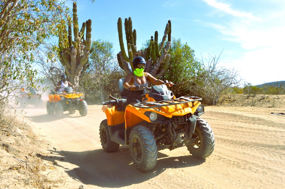 1 cabo san lucas migrino beach desert atv tour Cabo San Lucas: Migriño Beach & Desert ATV Tour