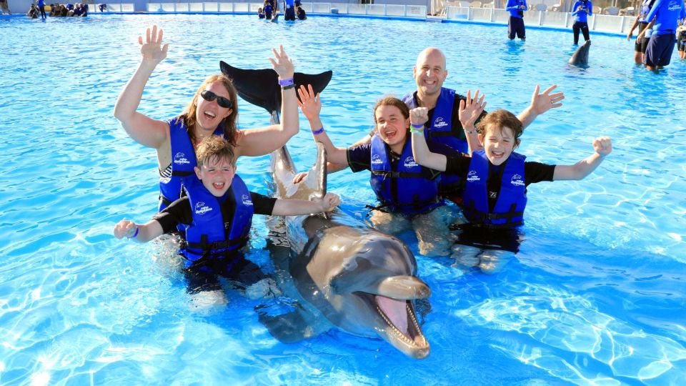1 cabo san lucas swim excursion with dolphin interaction Cabo San Lucas: Swim Excursion With Dolphin Interaction