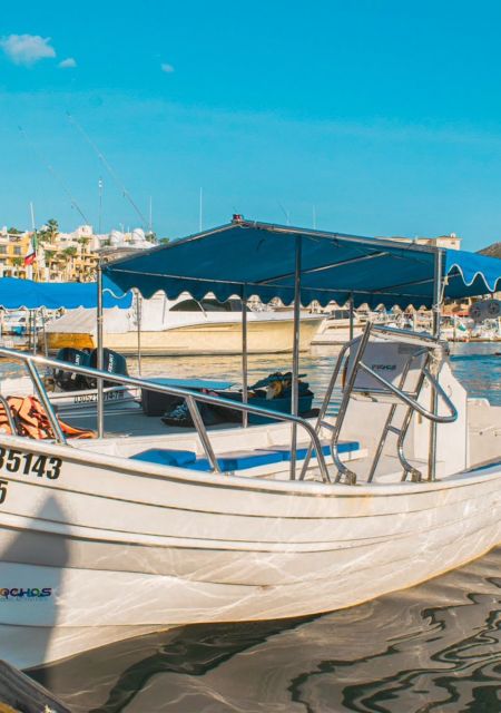 Cabo San Lucas: Tour to the Arch With Stop at the Beach