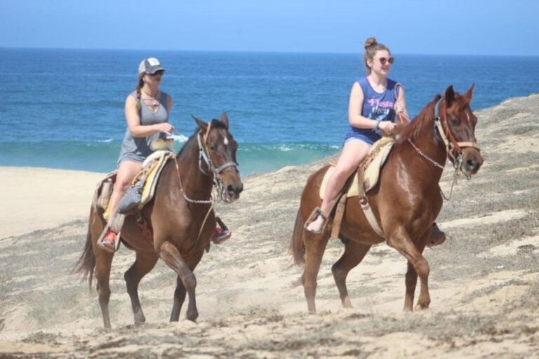 Cabo San Lucas: White Sand Horseback Adventure