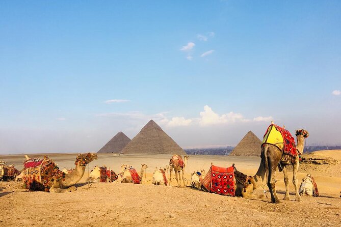 Cairo Private Layover Highlights Tour  – Western Desert