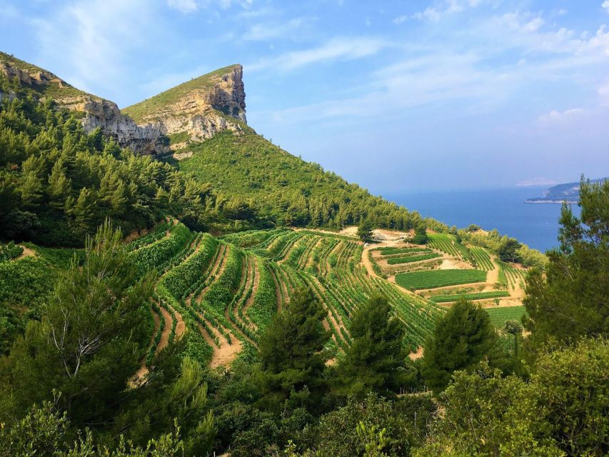 1 calanques of cassis the village and wine tasting Calanques Of Cassis, the Village and Wine Tasting