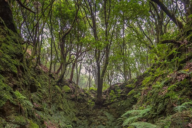 Caldeirão Verde Levadas Walk in Madeira