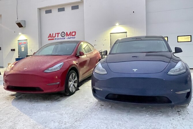 Calgary to Banff in Tesla EV – Private Transfer