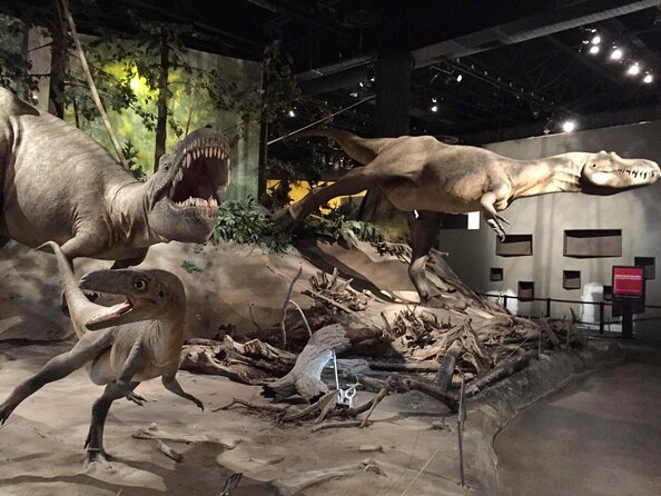 Calgary to Royal Tyrrell Museum Drumheller – PRIVATE TOUR