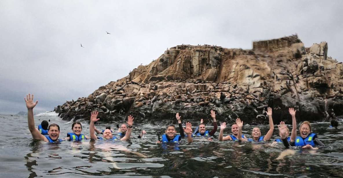 1 callao swimming with sea lions palomino islands boat tour Callao: Swimming With Sea Lions Palomino Islands Boat Tour