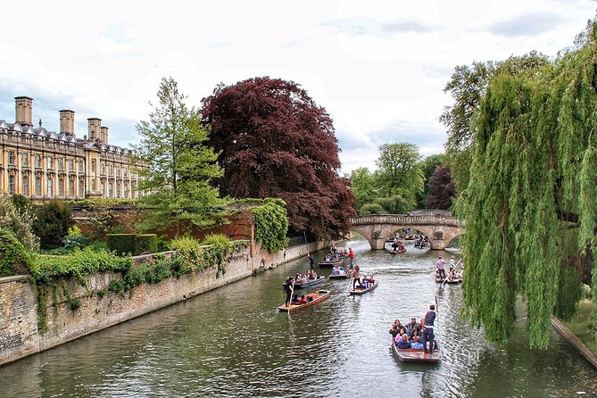 Cambridge University Group Tour With University Alumni Guide