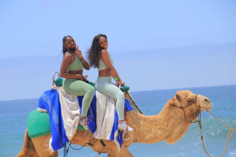 Camel Ride Beach and Desert Adventure.