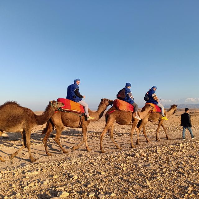 Camel Ride In Agafay Desert