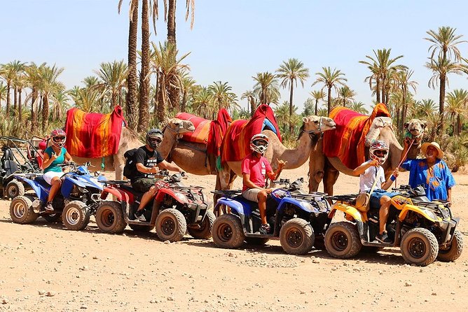 Camel Ride in Marrakech Desert Palmgrove