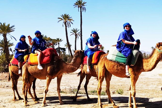 Camel Ride in Marrakech Palmerie
