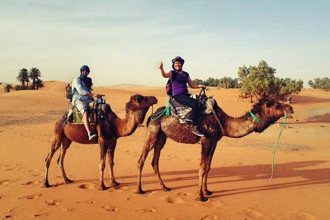 Camel Ride & Overnight Berber Camps in Merzouga Desert