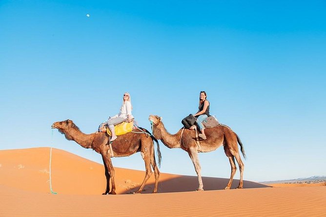 Camel Ride & Overnight Stay in Desert Camp Merzouga