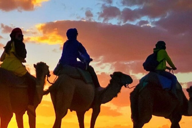Camel Ride Sunset BBQ Dinner in Agadir