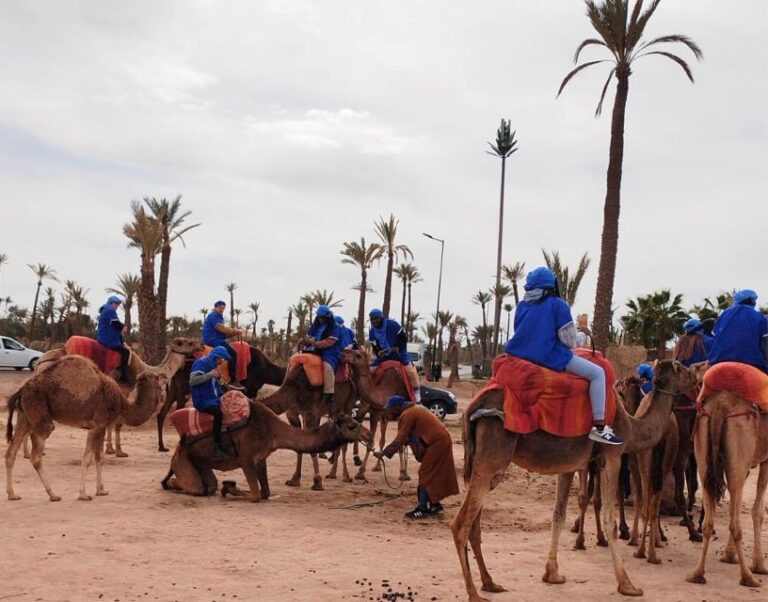 Camel Ride & Visit Marrakesh Jewish Quarter (Berber Market)