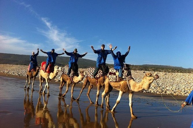 Camel Riding Agadir