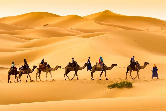 Camel Trek With 1 Night in Luxury Camp With Dinner Sundbording