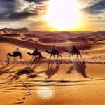 1 camel trekking dubai with morning dune bashing and sand boarding Camel Trekking Dubai With Morning Dune Bashing and Sand Boarding