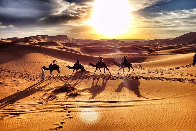 Camel Trekking Dubai With Morning Dune Bashing and Sand Boarding