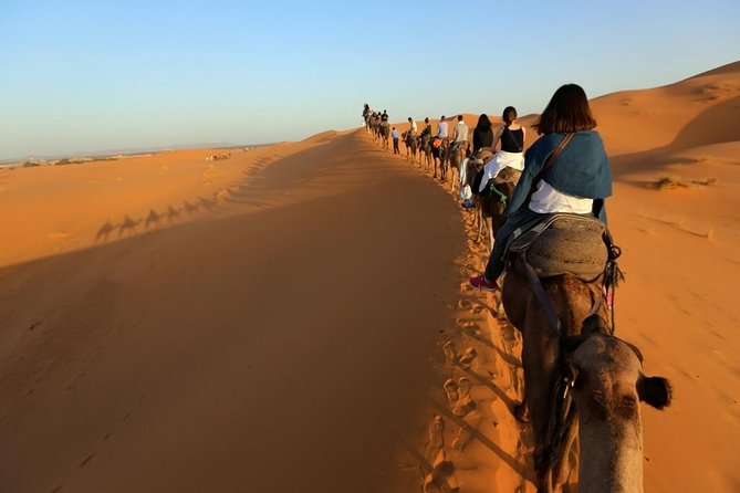 1 camel trekking in desert merzouga for 1night in merzouga Camel Trekking in Desert Merzouga for 1Night In Merzouga