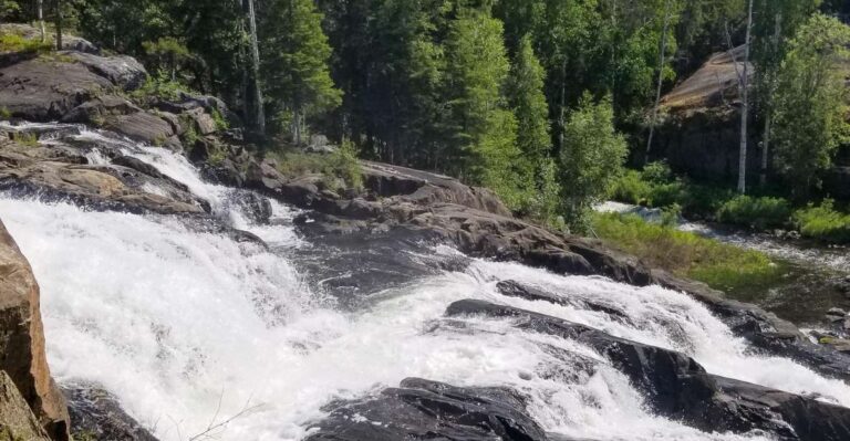 Cameron Falls Waterfall Tour