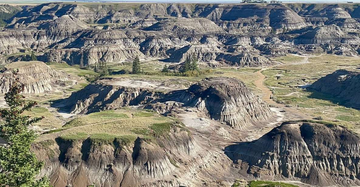 Canadian Badlands Private Tour