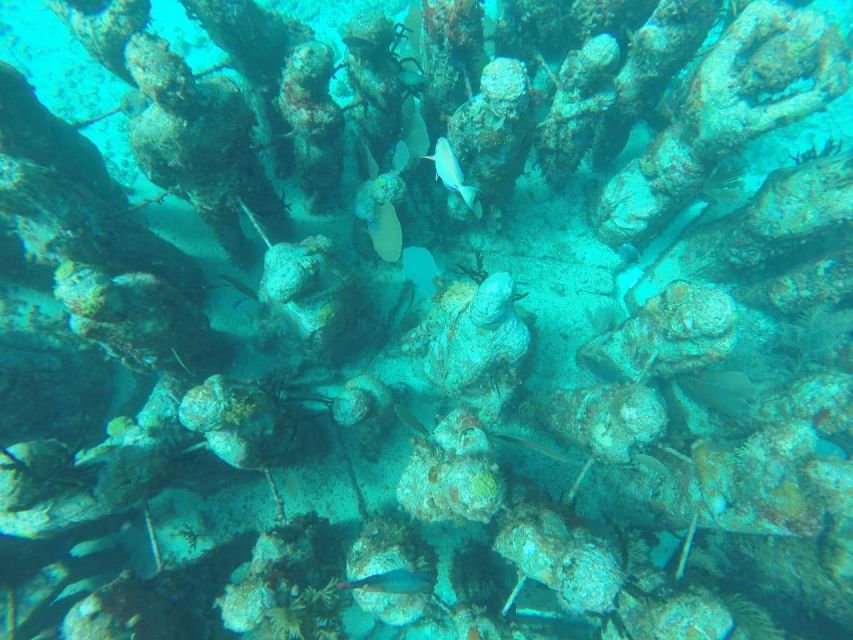 1 cancun 3 hour snorkel at sunken ship coral reef Cancun: 3-Hour Snorkel at Sunken Ship & Coral Reef