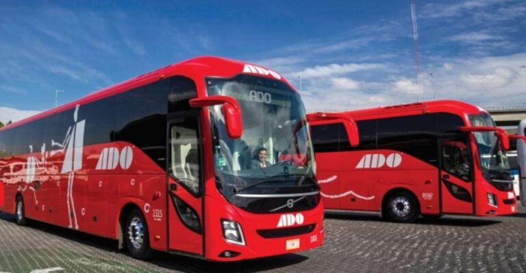 Cancun: Airport Transfer To/From Downtown by Bus