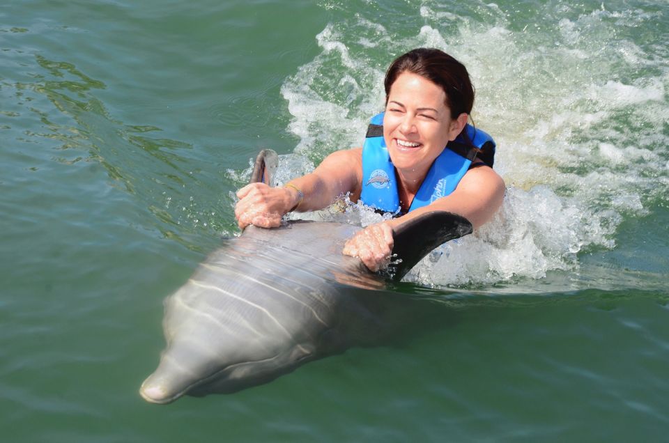 1 cancun dolphin swimming program on isla mujeres with buffet Cancún: Dolphin Swimming Program on Isla Mujeres With Buffet