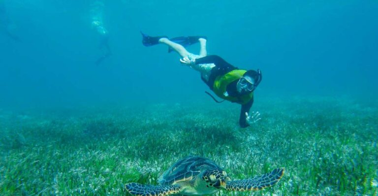 Cancun: Private Snorkeling Tour With Pickup and Drop-Off
