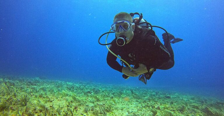 Cancun: Scuba Diving for Certified Divers at 3 Locations